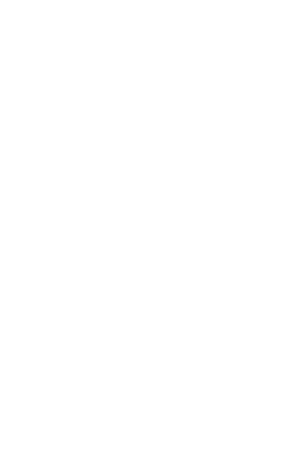 Noir Essence